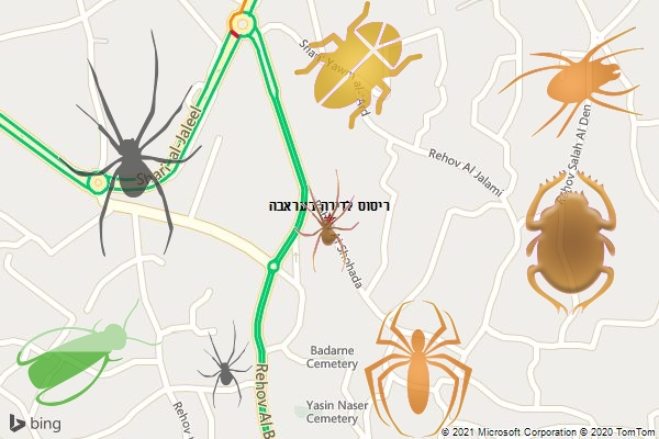 ריסוס לדירה בעראבה