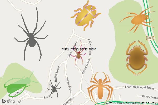 ריסוס לדירה בנצרת עילית