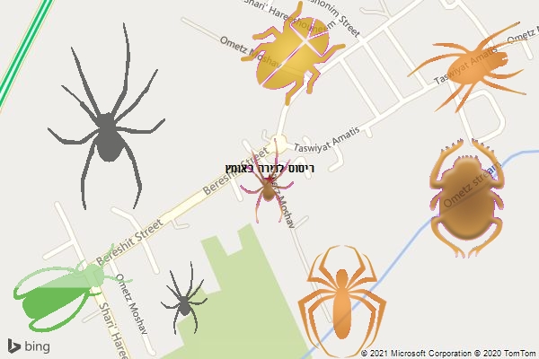 ריסוס לדירה באומץ