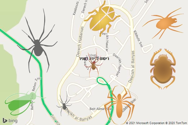 ריסוס לדירה בשניר