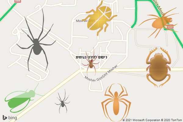 ריסוס לדירה בגיתית