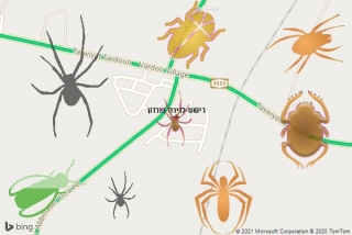 שירות ריסוס בורדון - ריסוס לדירה בורדון