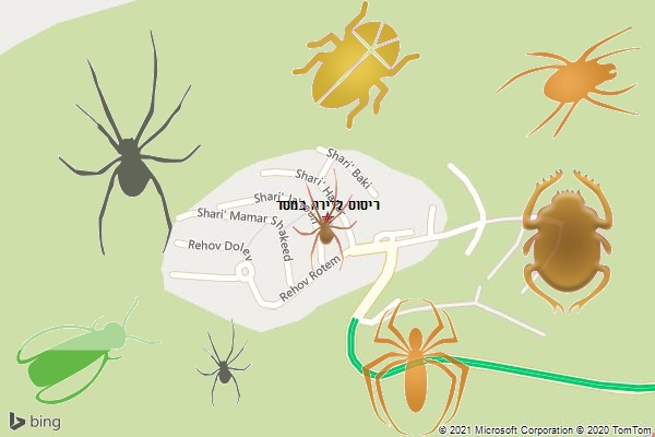 ריסוס לדירה במסד