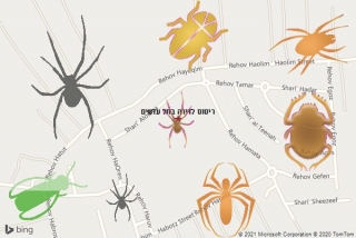 שירות ריסוס בתל עדשים - ריסוס לדירה בתל עדשים