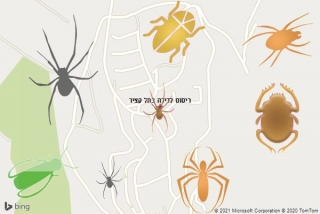 שירות ריסוס בתל קציר - ריסוס לדירה בתל קציר