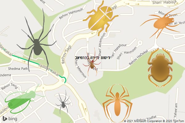 ריסוס לדירה בכרמיאל