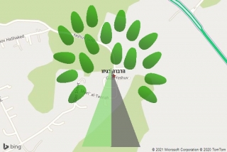 מדביר בגיזו - הדברה בגיזו