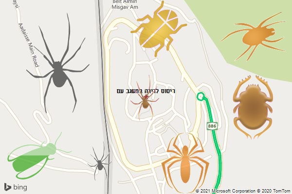 ריסוס לדירה במשגב עם