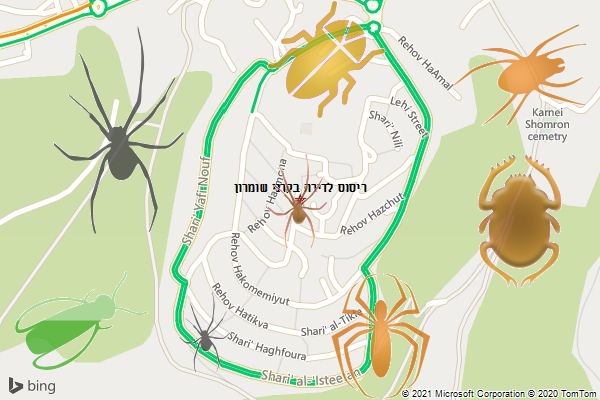 ריסוס לדירה בקרני שומרון