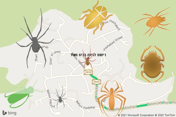 ריסוס לדירה בבית מאיר