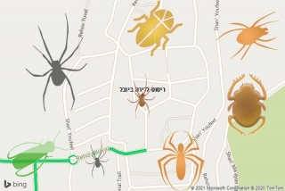 שירות ריסוס ביובל - ריסוס לדירה ביובל