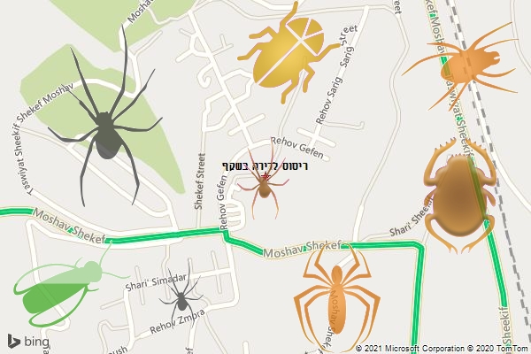 ריסוס לדירה בשקף