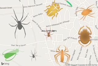 שירות ריסוס בג׳ת - ריסוס לדירה בג׳ת