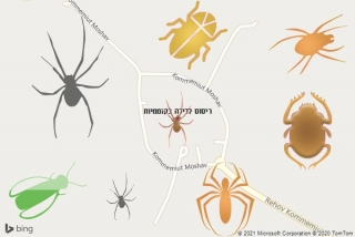שירות ריסוס בקוממיות - ריסוס לדירה בקוממיות
