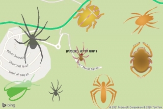 שירות ריסוס באבטליון - ריסוס לדירה באבטליון