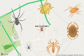 שירות ריסוס ברעים - ריסוס לדירה ברעים