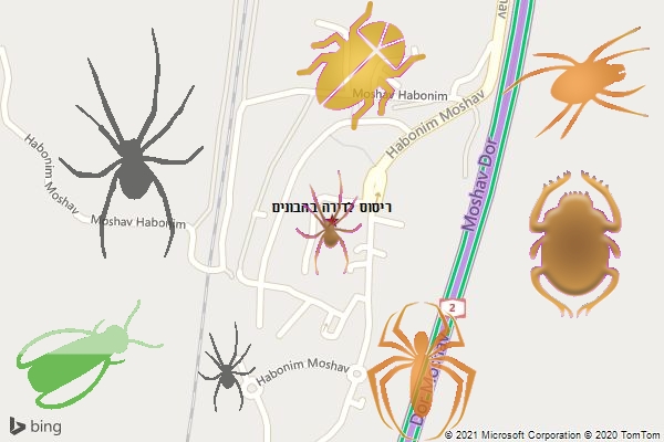ריסוס לדירה בהבונים