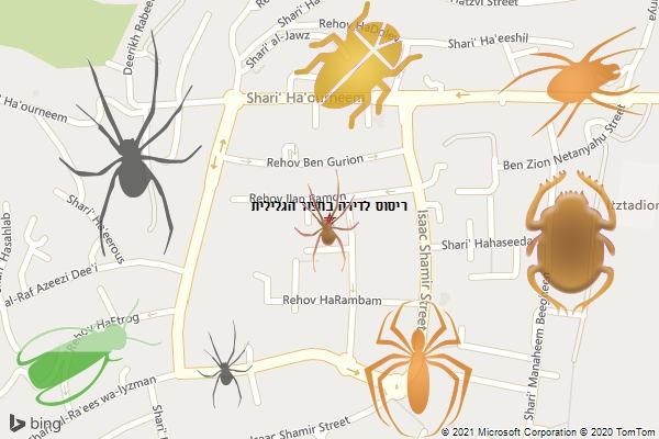 ריסוס לדירה בחצור הגלילית