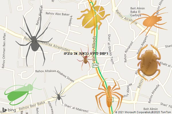 ריסוס לדירה בבאקה אל גרביה