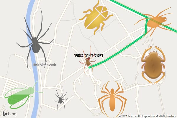 ריסוס לדירה בעמיר