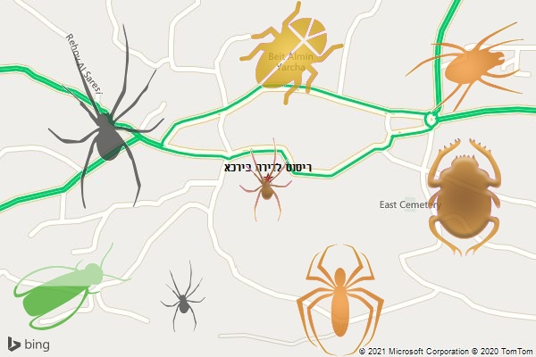 ריסוס לדירה בירכא