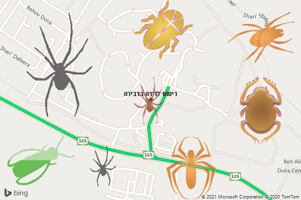 ריסוס לדירה בדבירה