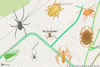 שירות ריסוס בלוד - ריסוס לדירה בלוד
