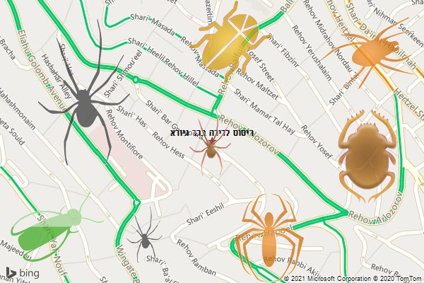 ריסוס לדירה בבר גיורא