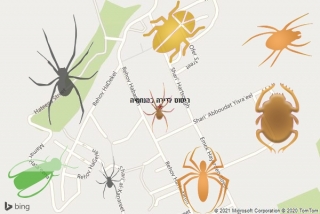 שירות ריסוס במנחמיה - ריסוס לדירה במנחמיה