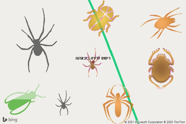 ריסוס לדירה בזבארגה