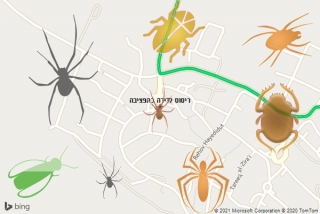 שירות ריסוס בחפציבה - ריסוס לדירה בחפציבה
