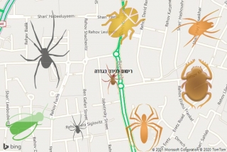 שירות ריסוס בגדרה - ריסוס לדירה בגדרה