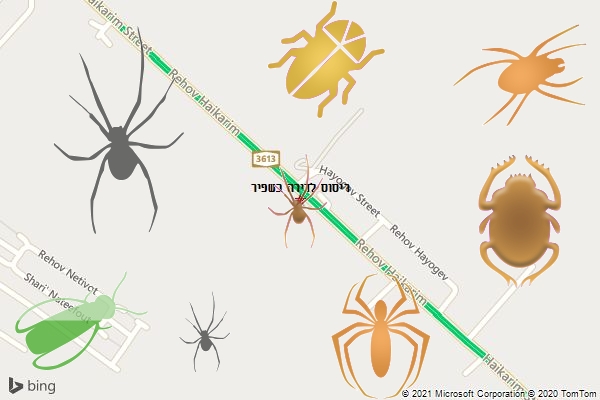 ריסוס לדירה בשפיר
