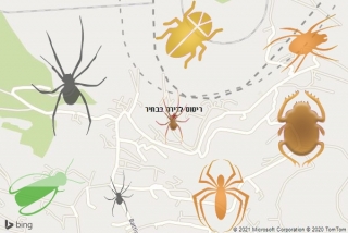 שירות ריסוס בבתיר - ריסוס לדירה בבתיר