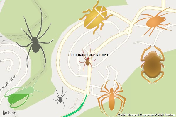 ריסוס לדירה בבסמת טבעון