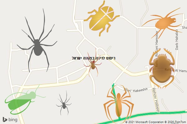 ריסוס לדירה במקווה ישראל