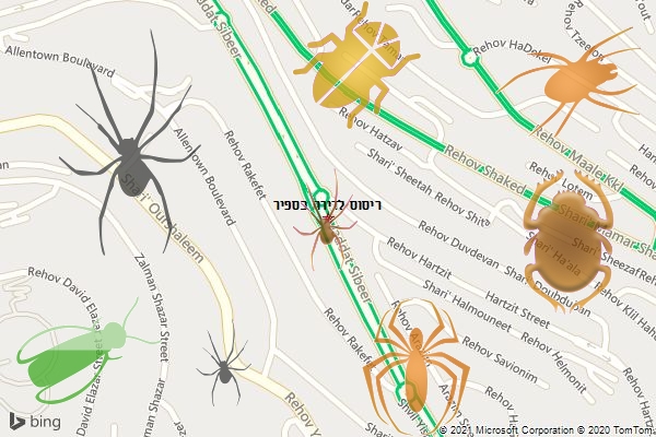ריסוס לדירה בספיר