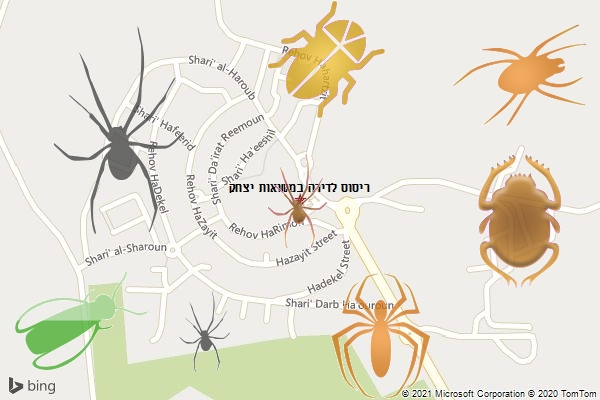 ריסוס לדירה במשואות יצחק