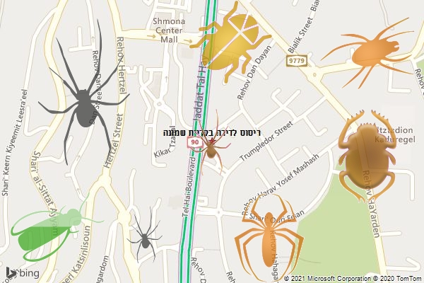 ריסוס לדירה בקריית שמונה