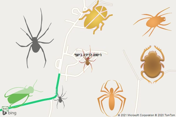 ריסוס לדירה ביעף