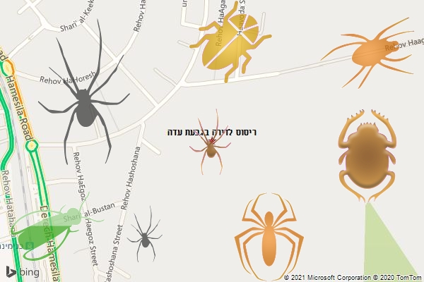 ריסוס לדירה בגבעת עדה