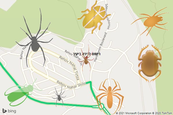 ריסוס לדירה ביקיר