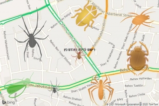 שירות ריסוס בפרדס כץ - ריסוס לדירה בפרדס כץ