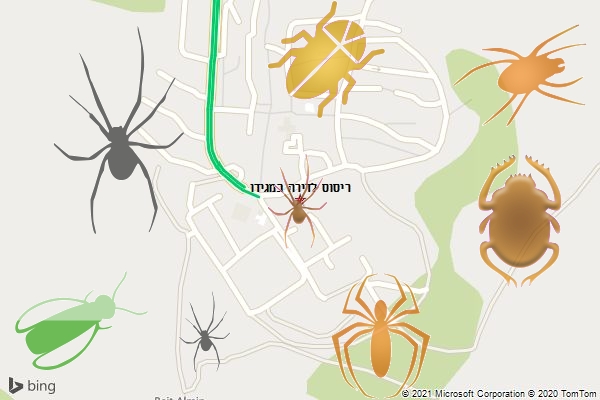 ריסוס לדירה במגידו
