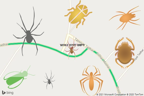 ריסוס לדירה בתדהר