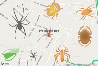 שירות ריסוס בכפר חיים - ריסוס לדירה בכפר חיים