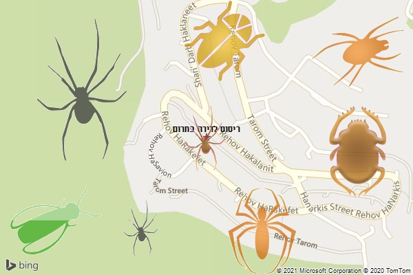 ריסוס לדירה בתרום