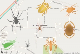 שירות ריסוס בכפר ביל״ו - ריסוס לדירה בכפר ביל״ו