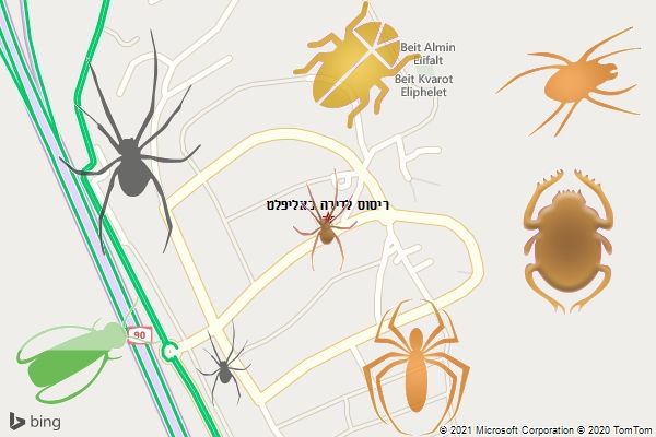 ריסוס לדירה באליפלט