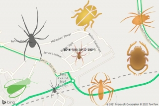 שירות ריסוס בנוף אילון - ריסוס לדירה בנוף אילון